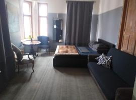 Boutique Hostel Cesis-X，位于采西斯的青旅