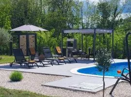 Villa Ruza, pet friendly villa with private pool and playground in Istria, Saturdays check in and out