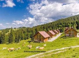 Chalet in Alps with Private Sauna，位于Weinebene的酒店