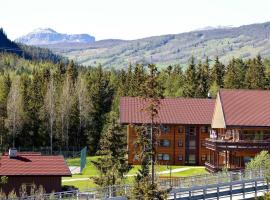 Actif 106 - Hallingheim apartment ski inn/ski ut，位于奥尔的酒店