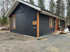 Villa Alpaca Mökki - Laamatila，位于诺基亚的酒店