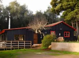 Acogedora casa en la costa de Pelluhue