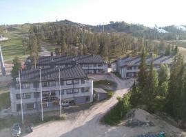 Vuosselin Helmi Apartments，位于鲁卡的酒店