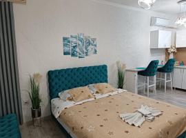 Apartman u centru 1，位于Šid的酒店