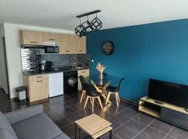 micro maison, refait à neuf, spacieux, agréable