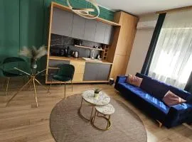 Milan Luxury Apartaments I-Maurer Residence Târgu Mureș