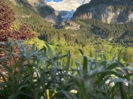 Velvet Eiger