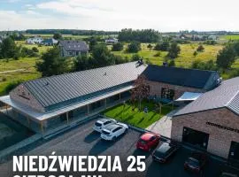 IronResorts Niedźwiedzia 25