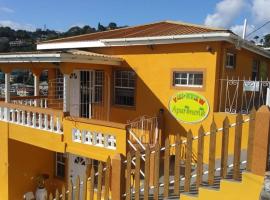 Visionview Apartments Grenada，位于DʼArbeau的酒店