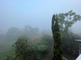 Hotel Phoenix，位于罗纳瓦拉的酒店