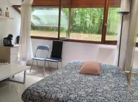 Magnifique Studio du Chateau VLP
