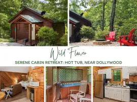 Serene Cabin Retreat Hot Tub, Near Dollywood
