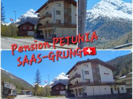 Chalet Petunia In Swiss Alps，位于萨斯格伦德的酒店