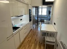 Apartament Milewskiego