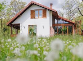Cerdacul din Livada - Căsuța din Livadă，位于Vaideeni的酒店