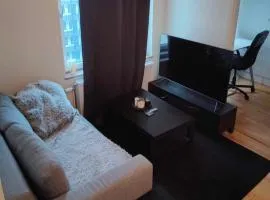 Fully Furnished Modern Apartment