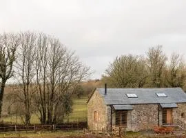 Lower Walreddon Barn