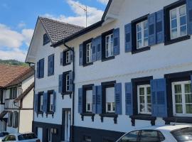 Ferienhaus Bühlertal mit 3 Fewos，位于比赫莱尔塔尔的乡村别墅