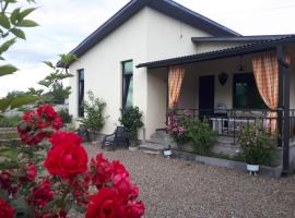 Guest House, Հյուրատուն, Հայաստանյան Շվեյցարիա，位于斯捷潘纳万的酒店