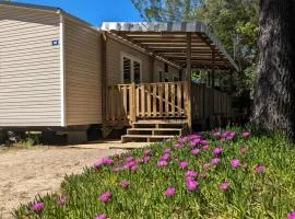 Mobil-home 40m2 au calme, plage, piscine, forêt