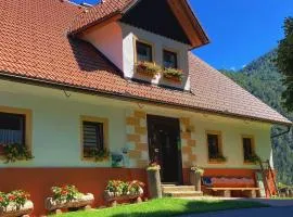 Tourist farm Gradišnik