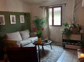 Spacious room in Montpellier CBD