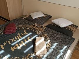 Apartman Yullia Ostrava City，位于Hrabŭvka的酒店