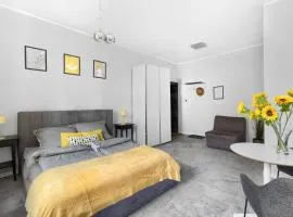 Spacious Apartament in the heart of Poznań
