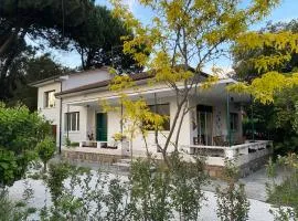 Villa Milina - a pochi passi dal mare