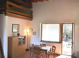Montecasciano - Glicine