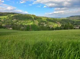 Zlatá Olešnice, pomezí Jizerek a Krkonoš