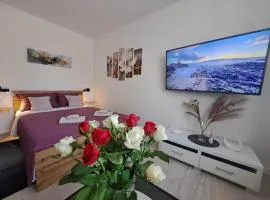 Apartman Studio Nicky