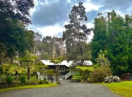 Volcano Hideaway Cabin as seen on HGTV