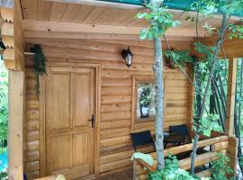 Still cabin，位于采蒂涅的木屋