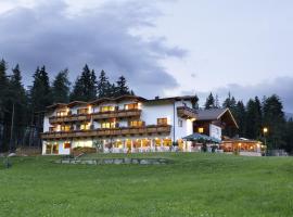 莫斯阿尔姆家庭旅馆，位于利恩茨的滑雪度假村