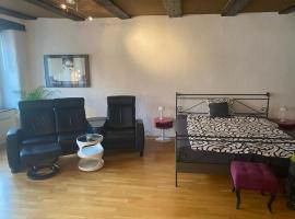 Joline private guest apartment Studio feel home，位于Nidau的公寓