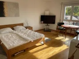 Cozy, sunny, city center 1 bedroom flat (Marble 3)