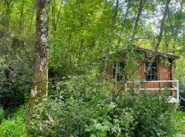 Cabane dans les bois