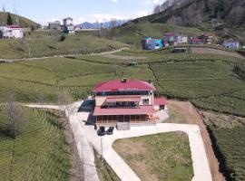 Sevgi Konağı，位于Yolüstü的酒店