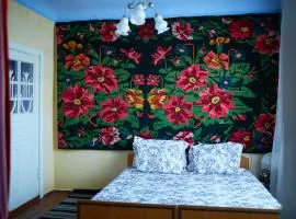 Casa familiei Iarmurati