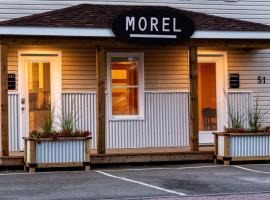 Morel Executive Suites，位于埃德门兹顿的酒店