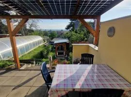 德累斯顿恰根博德假日公寓