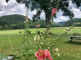 Gorgeous cabin stay near I-77, views, antiques, Wi-fi, wonderful experience for 2!