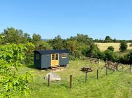 Wicklow Wild Glamping Shepherds Huts at Greenan Maze，位于拉斯德拉姆的露营地