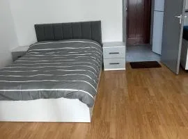 Dristor