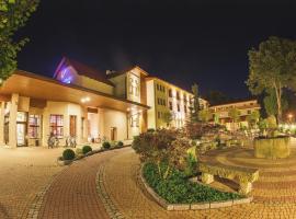树莓庄园医疗温泉酒店，位于希维拉杜夫-兹德鲁伊的酒店