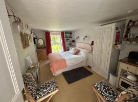 Cosy Cottage ground floor bedroom ensuite with private entrance，位于奇切斯特的住宿加早餐旅馆