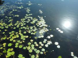 Pousada T，位于因巴塞的酒店