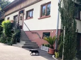 Gite du Ried