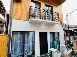 Borjomi inn，位于博尔若米的民宿